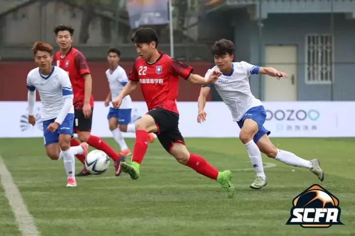 2026年国际足联世界杯