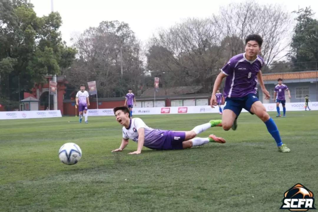 2026年国际足联世界杯