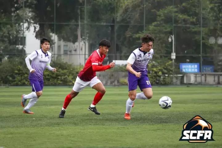 2026年国际足联世界杯