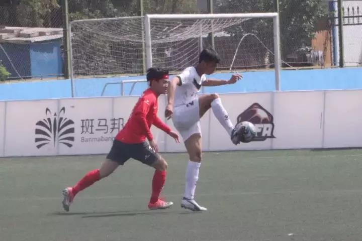 2026年国际足联世界杯