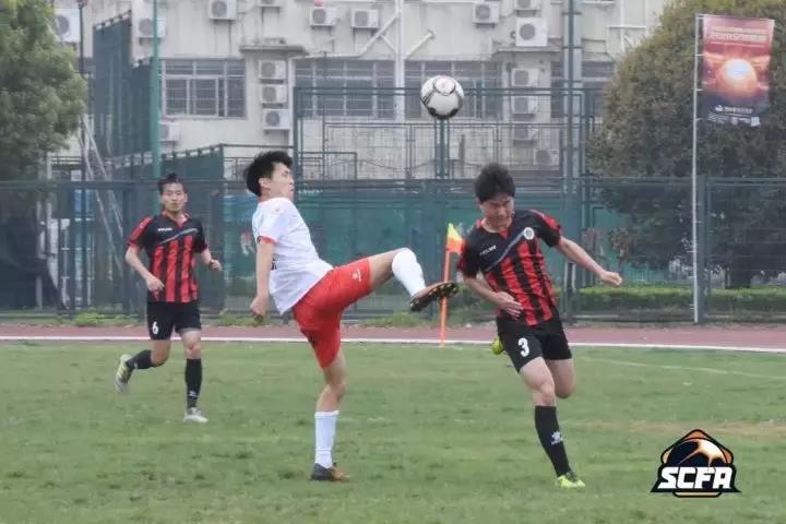 2026年国际足联世界杯