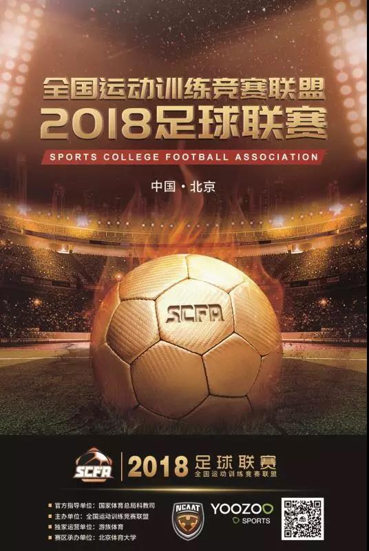 2026年国际足联世界杯