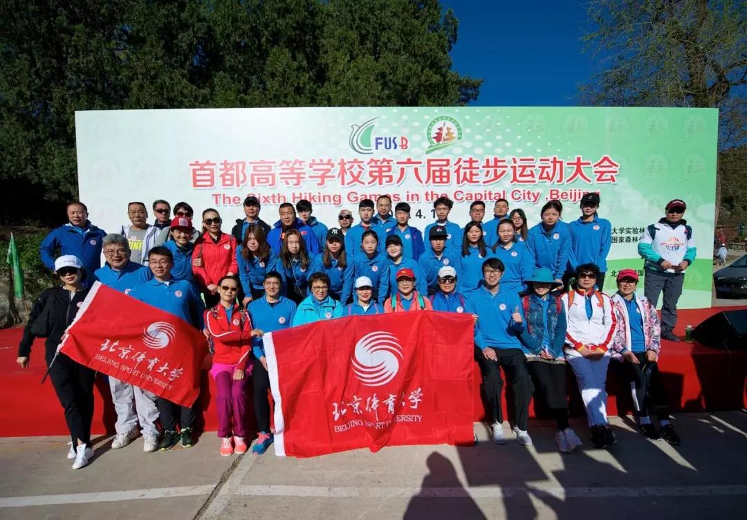 2026年国际足联世界杯