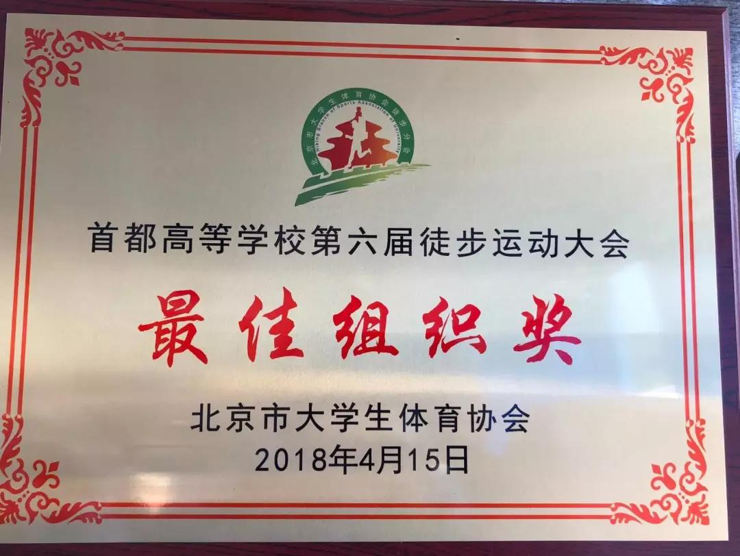 2026年国际足联世界杯