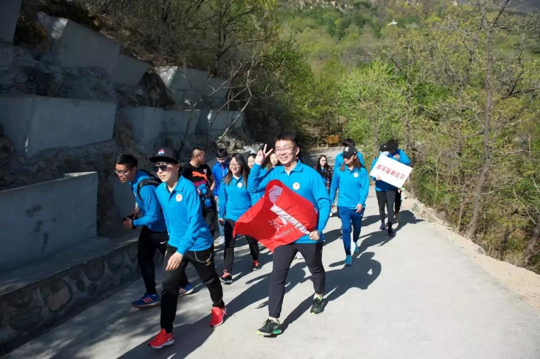 2026年国际足联世界杯