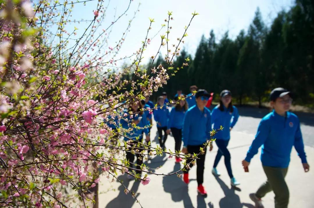 2026年国际足联世界杯