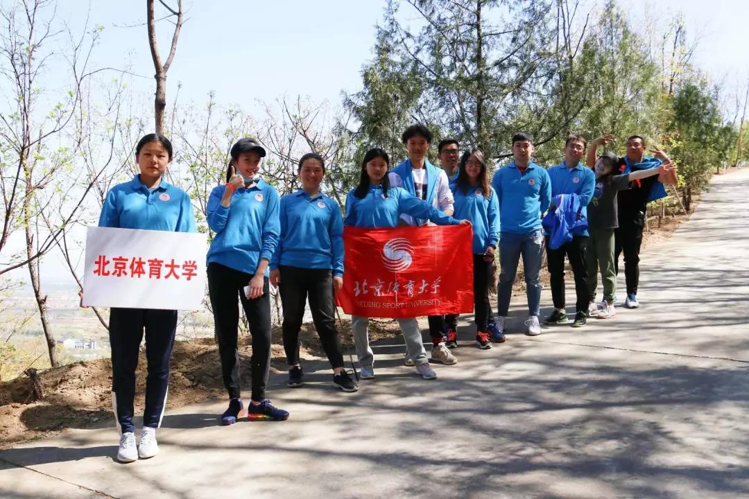 2026年国际足联世界杯