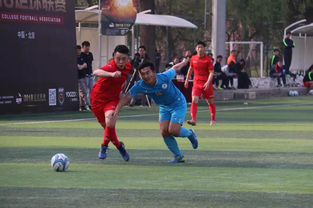 2026年国际足联世界杯