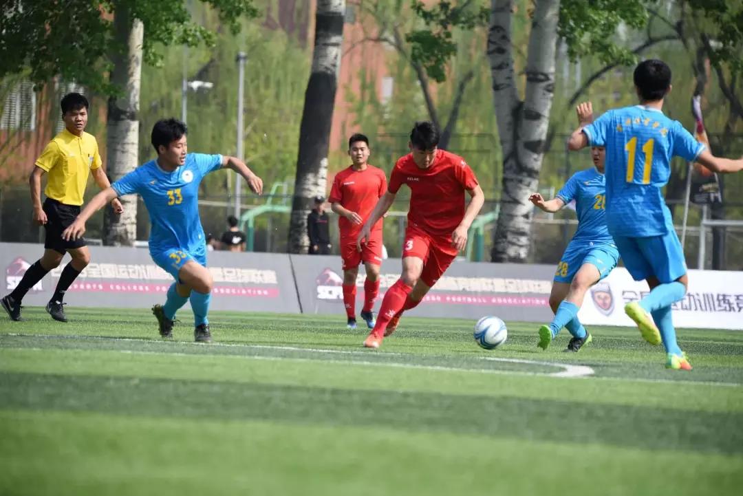 2026年国际足联世界杯