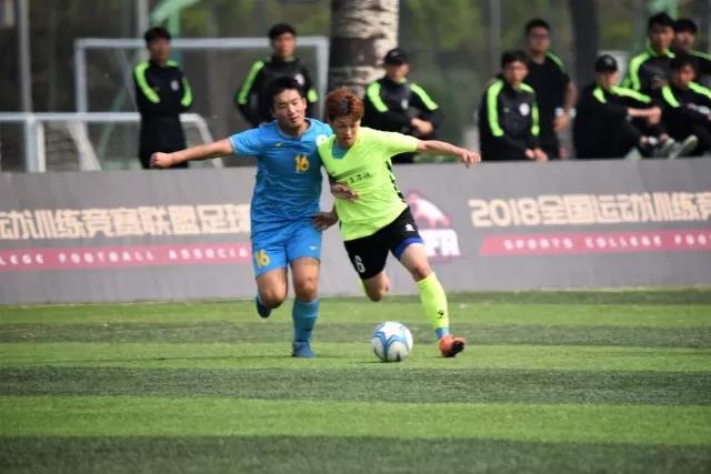 2026年国际足联世界杯