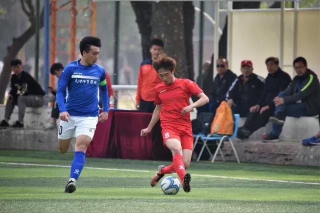 2026年国际足联世界杯