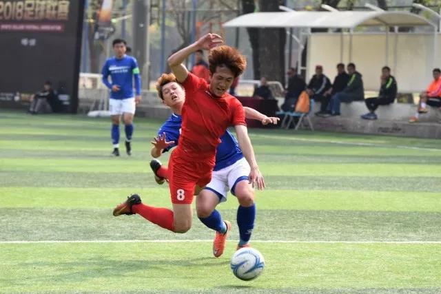 2026年国际足联世界杯