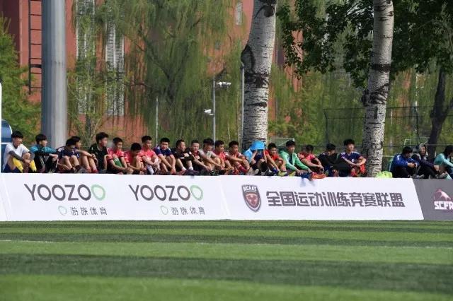 2026年国际足联世界杯