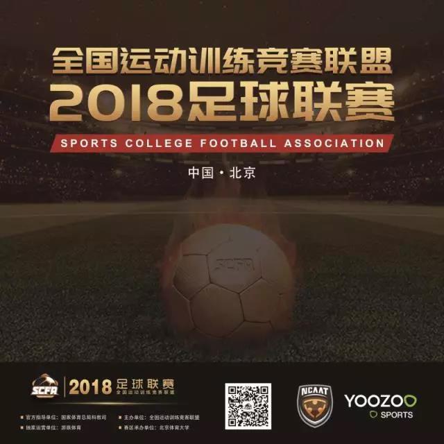 2026年国际足联世界杯