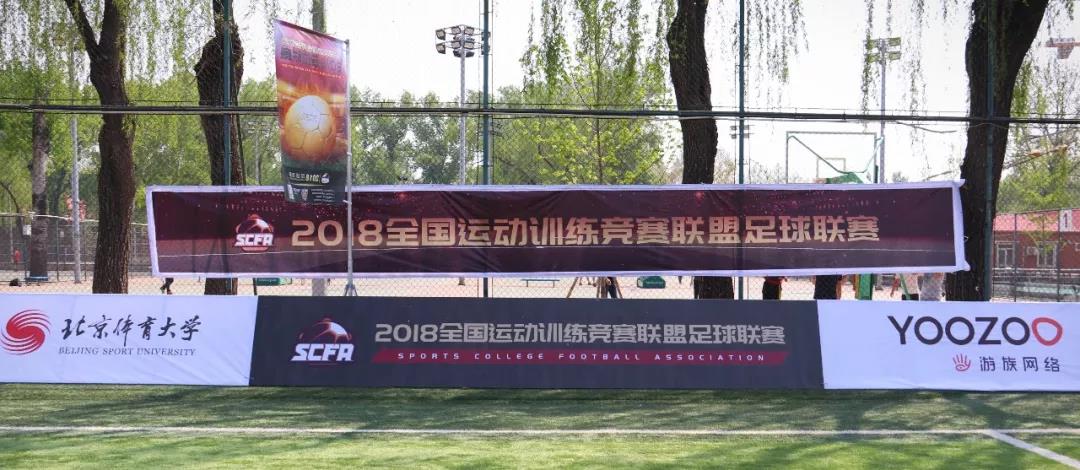 2026年国际足联世界杯