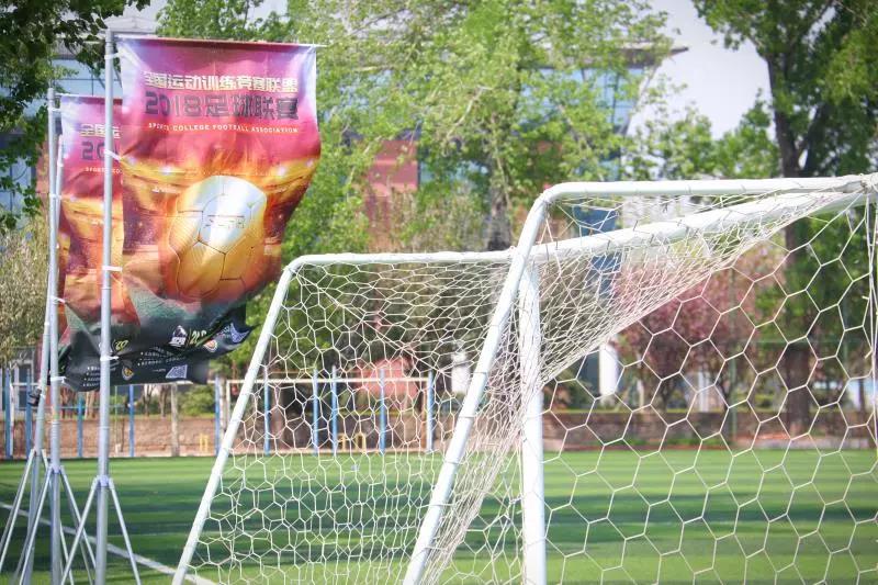 2026年国际足联世界杯