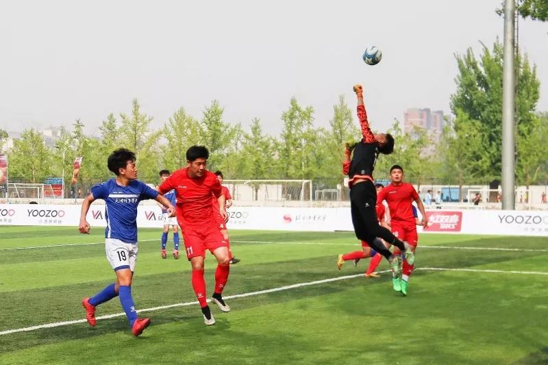 2026年国际足联世界杯