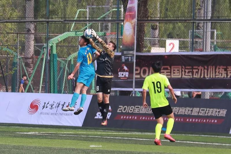 2026年国际足联世界杯