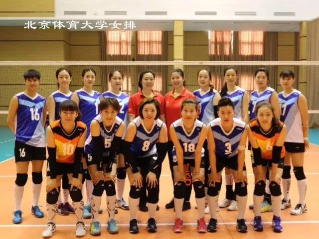 2026年国际足联世界杯