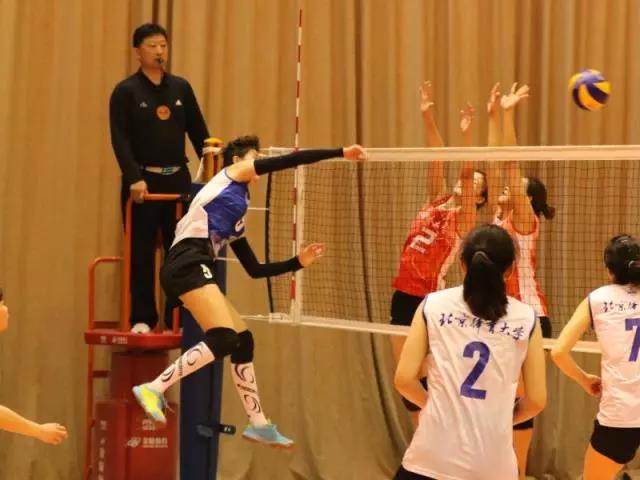 2026年国际足联世界杯