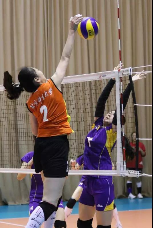 2026年国际足联世界杯