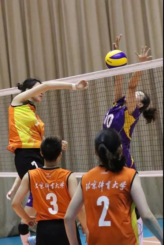 2026年国际足联世界杯