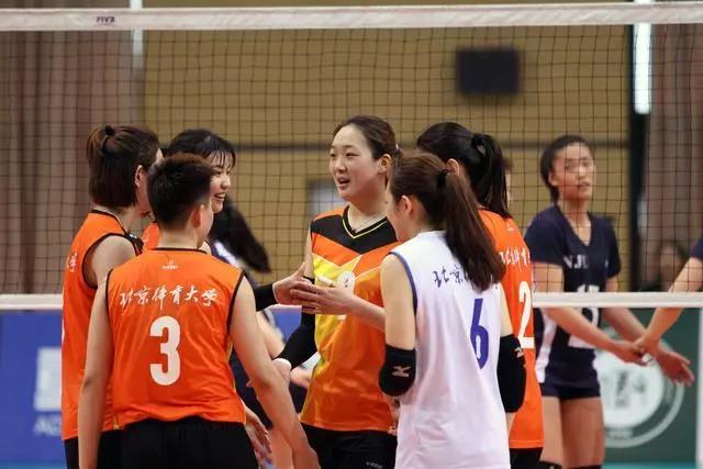 2026年国际足联世界杯