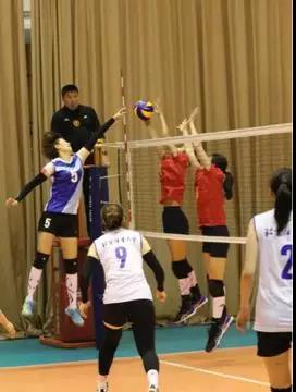 2026年国际足联世界杯