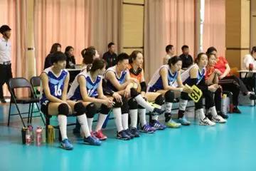 2026年国际足联世界杯