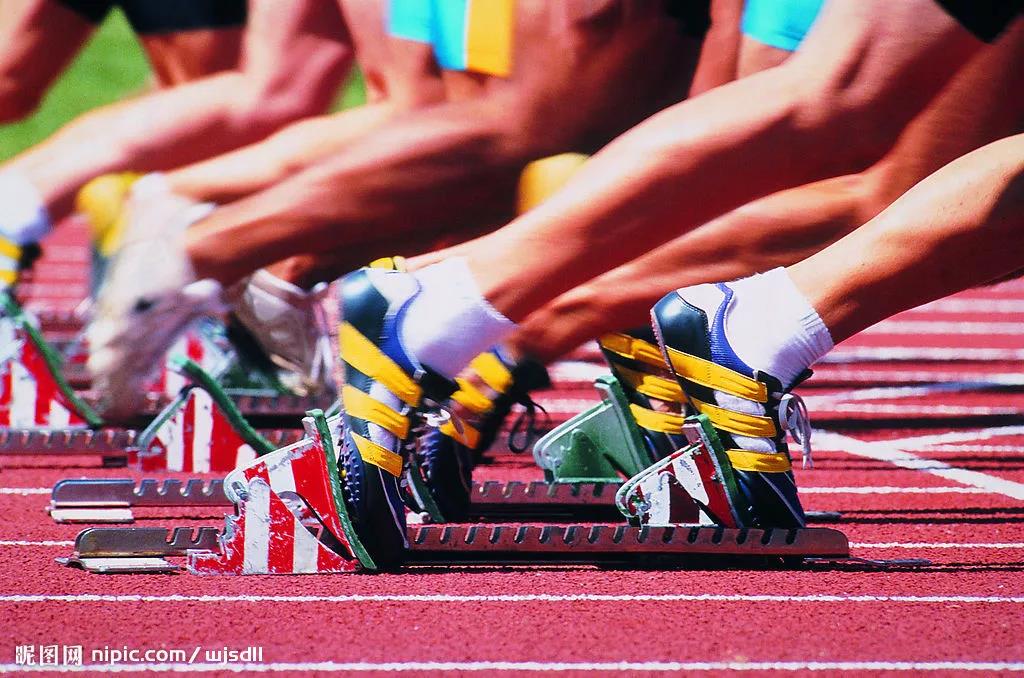 2026年国际足联世界杯