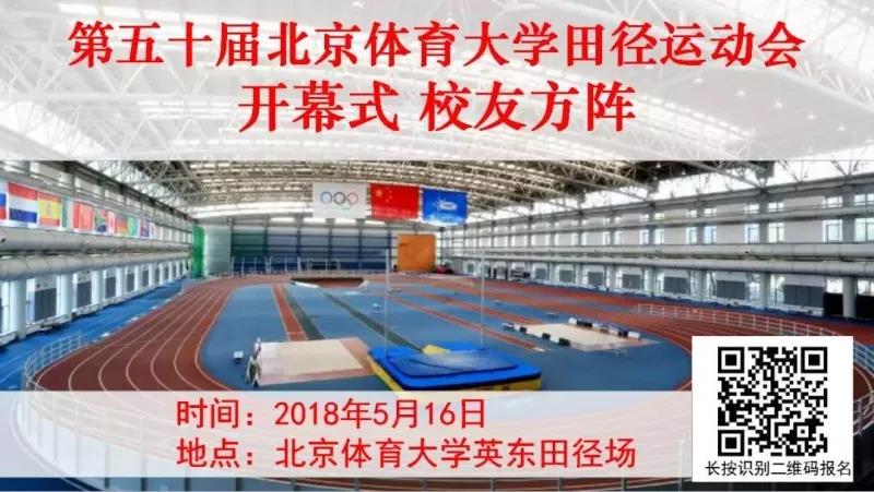 2026年国际足联世界杯