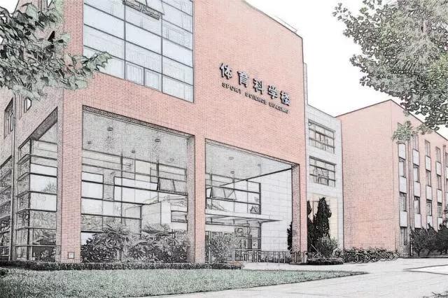 2026年国际足联世界杯