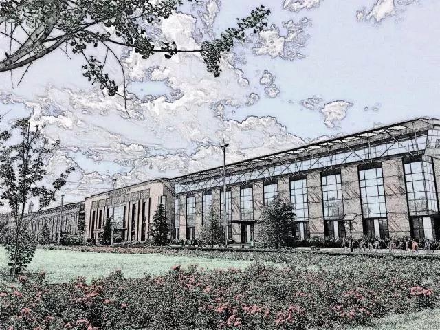 2026年国际足联世界杯