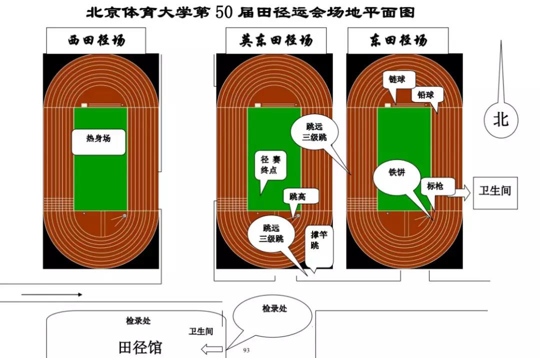 2026年国际足联世界杯