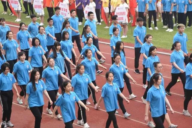 2026年国际足联世界杯