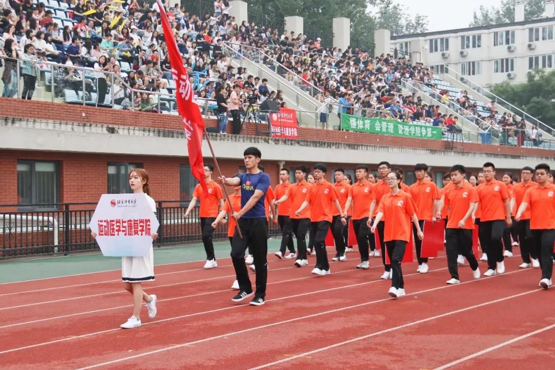 2026年国际足联世界杯