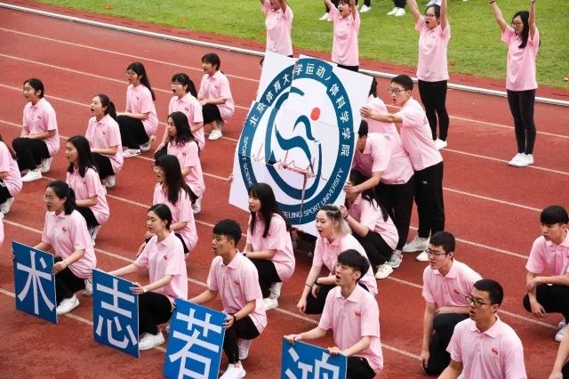 2026年国际足联世界杯