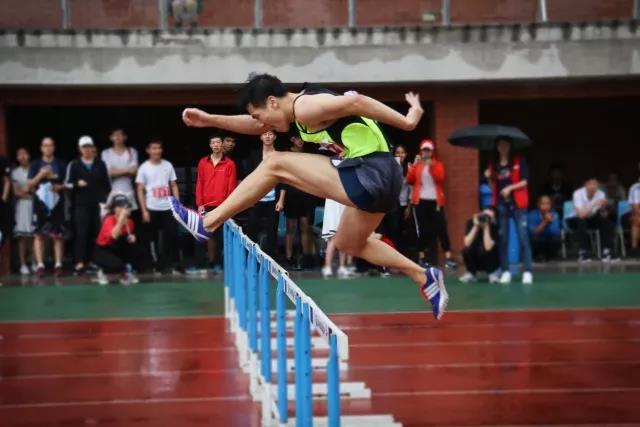 2026年国际足联世界杯