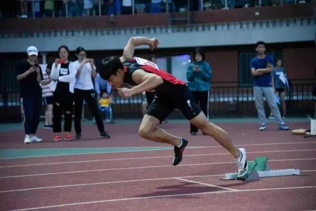 2026年国际足联世界杯