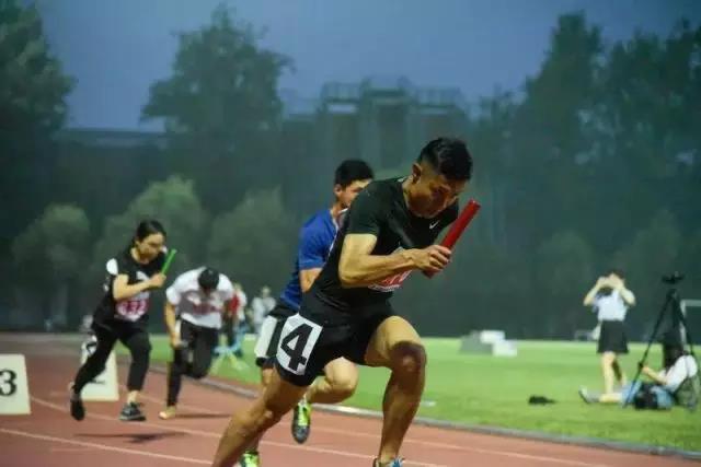 2026年国际足联世界杯