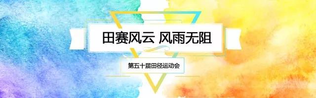 2026年国际足联世界杯