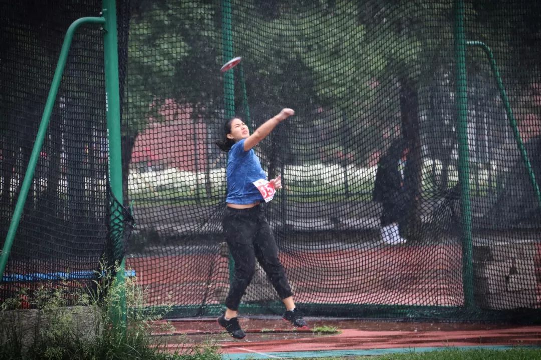 2026年国际足联世界杯