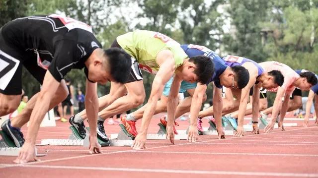 2026年国际足联世界杯