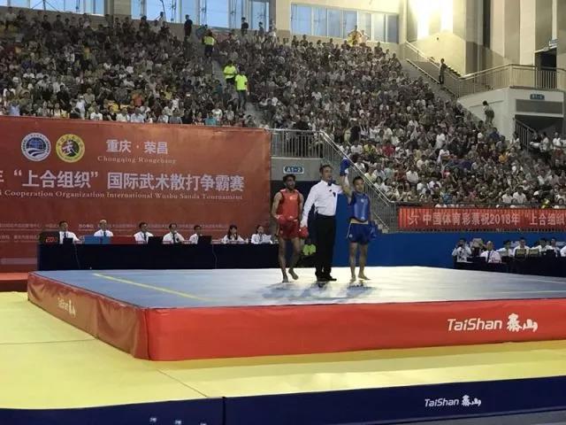 2026年国际足联世界杯