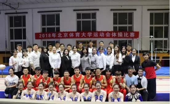 2026年国际足联世界杯