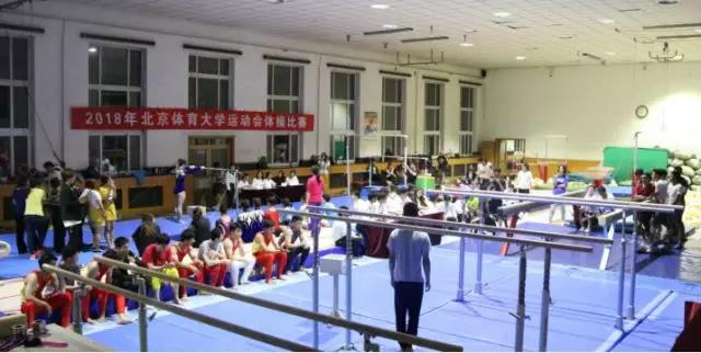 2026年国际足联世界杯