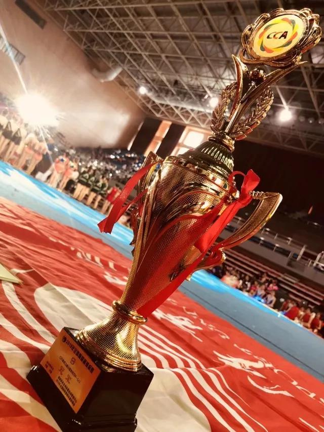 2026年国际足联世界杯