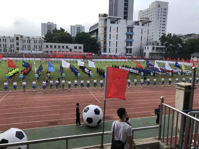 2026年国际足联世界杯