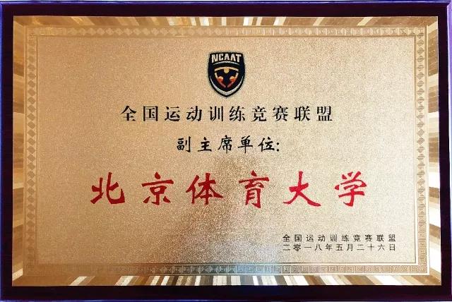 2026年国际足联世界杯