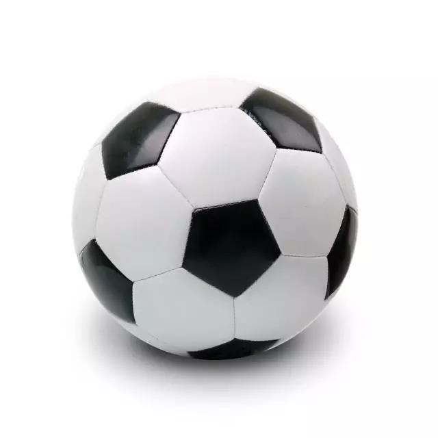 2026年国际足联世界杯